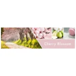 Cherry Blossom kehakreem