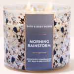 bath-body-works-morning-rainstorm