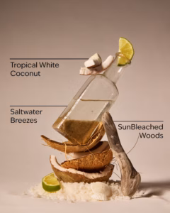 Bath & Body Works autolõhn Waikiki Beach Coconut - Pilt 2